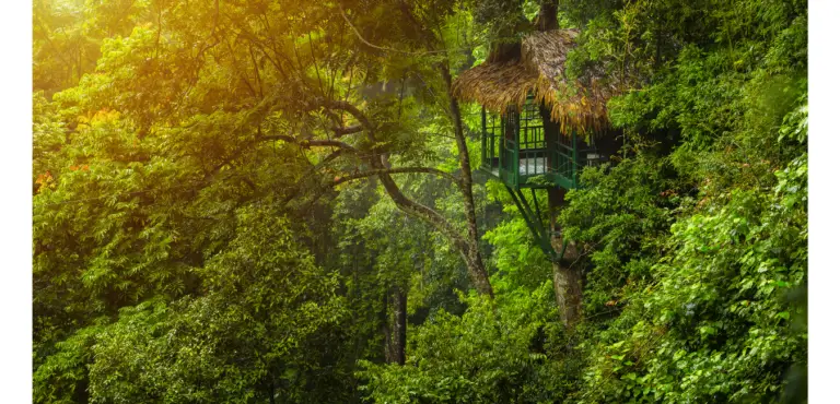 10 Off-Grid Communities That Are Waiting for Eco-friendly Residents