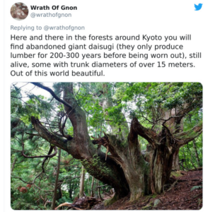 deforestation
