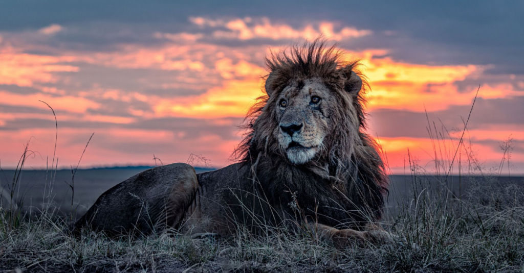 kenya