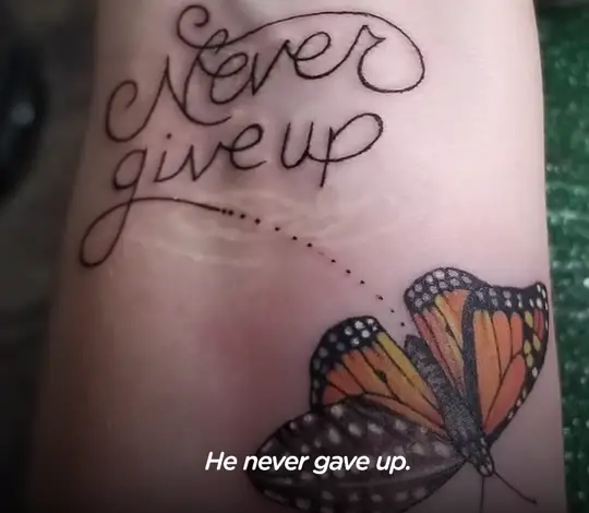 butterfly never give up