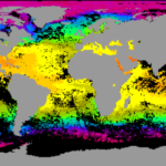 coral reef