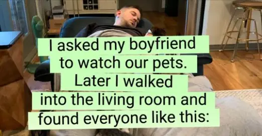 watch pets boyfriend