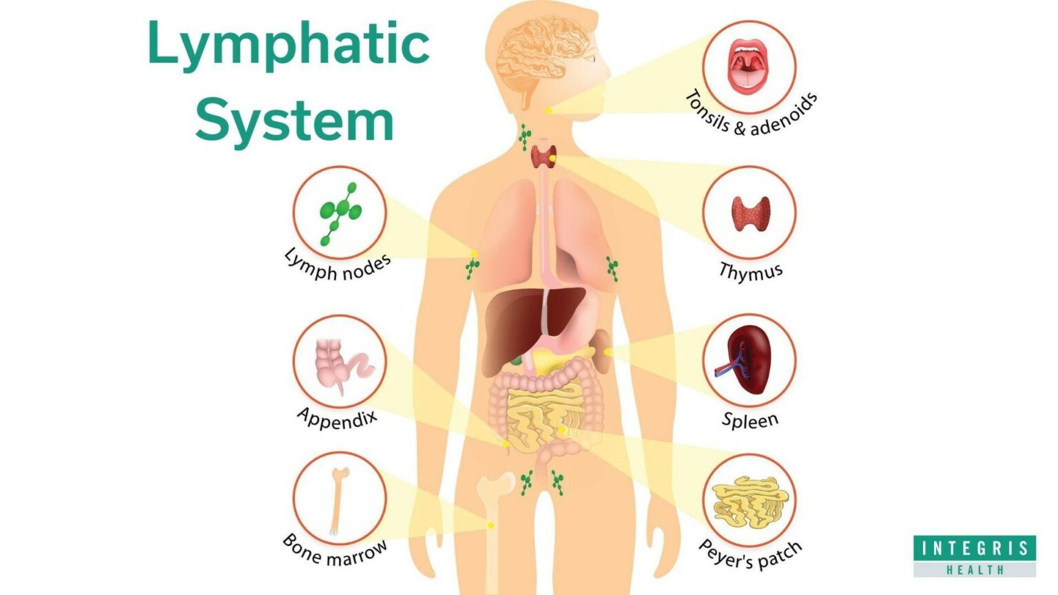 signs-of-a-clogged-lymphatic-system-10-ways-to-cleanse-it-green