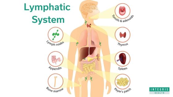 Signs Of A Clogged Lymphatic System & 10 Ways To Cleanse It - Green 