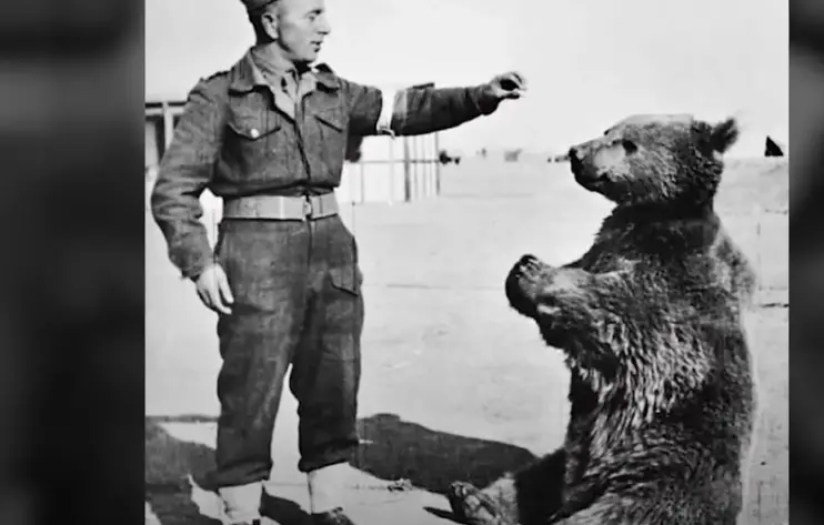 Top 10 Weirdest Historical Events That Actually Happened Green Living Top 10 Weirdest Historical Events That Actually Happened Green Living