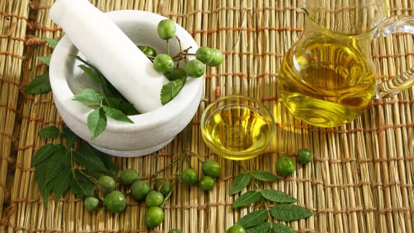 neem oil heals sickness disease