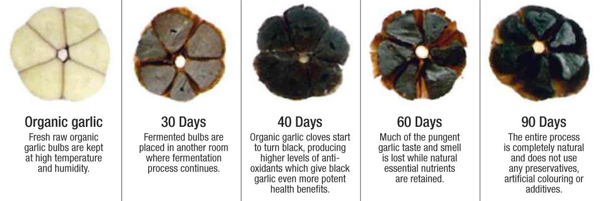 black garlic