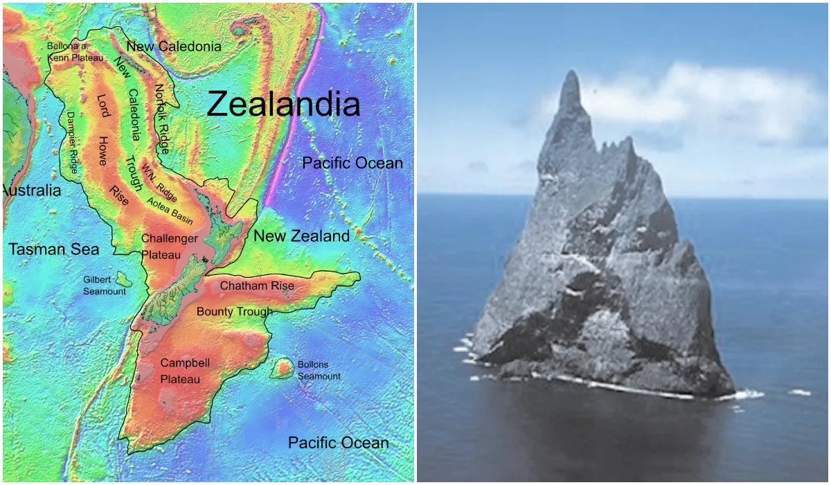 zealandia