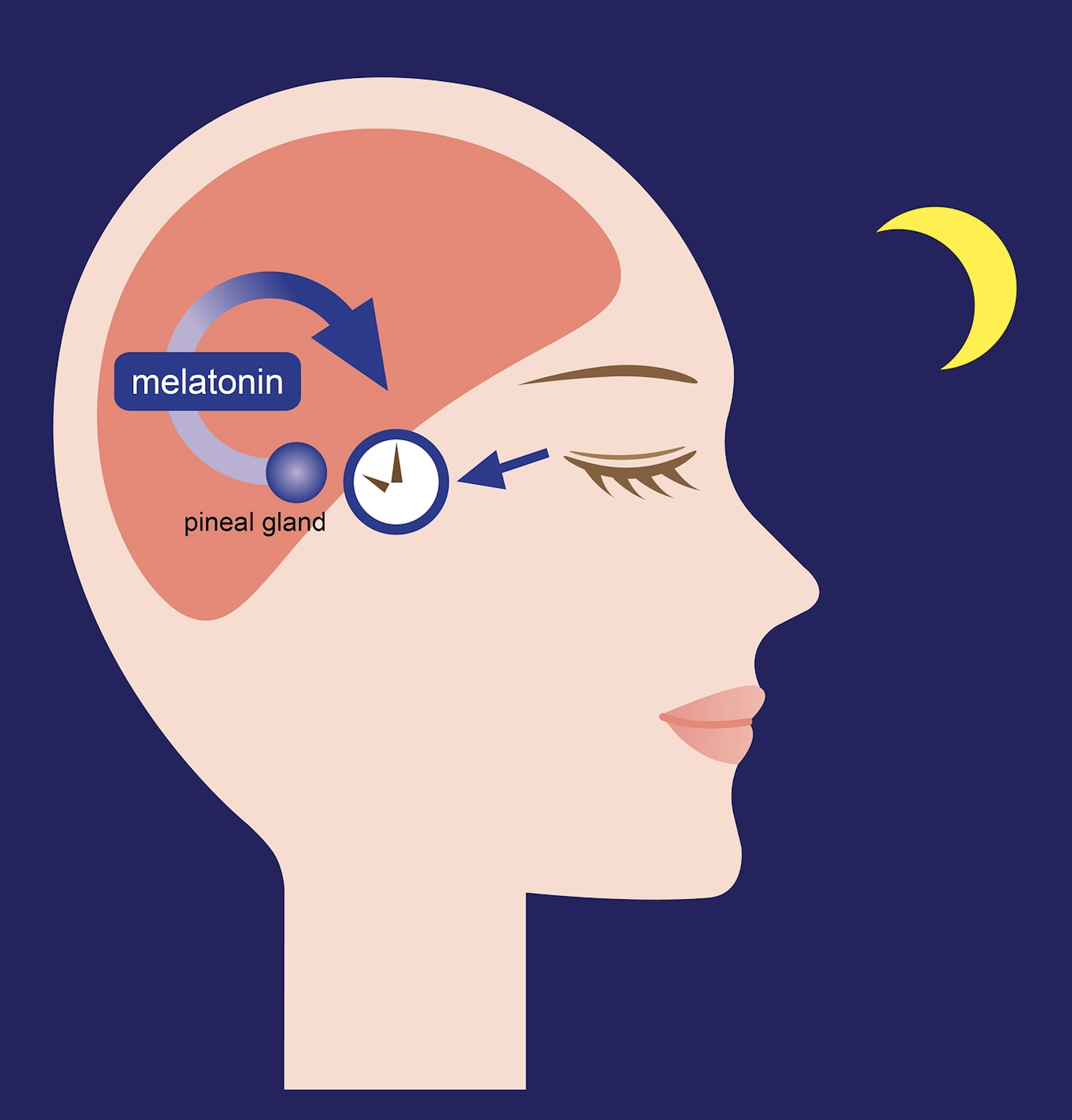 melatonin imbalance