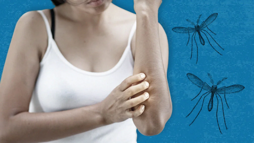 mosquitoes naturally