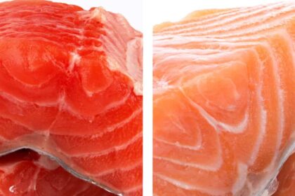 farm-raised salmon