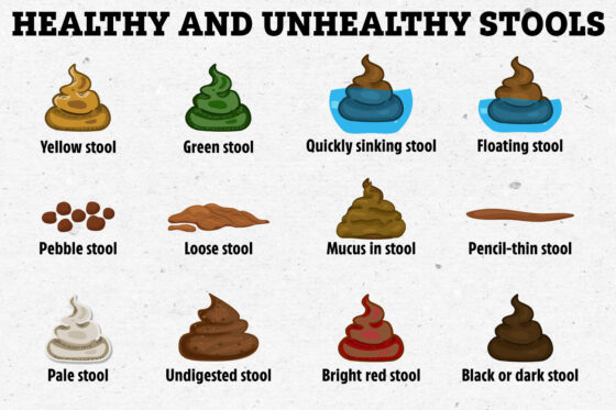 This is What The Color & Shape Of Your Stool Tells You About Your Gut
