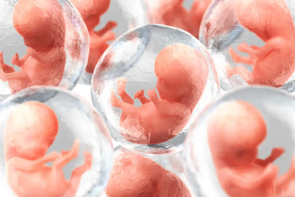 synthetic human embryo