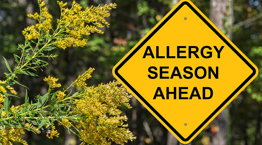 allergy