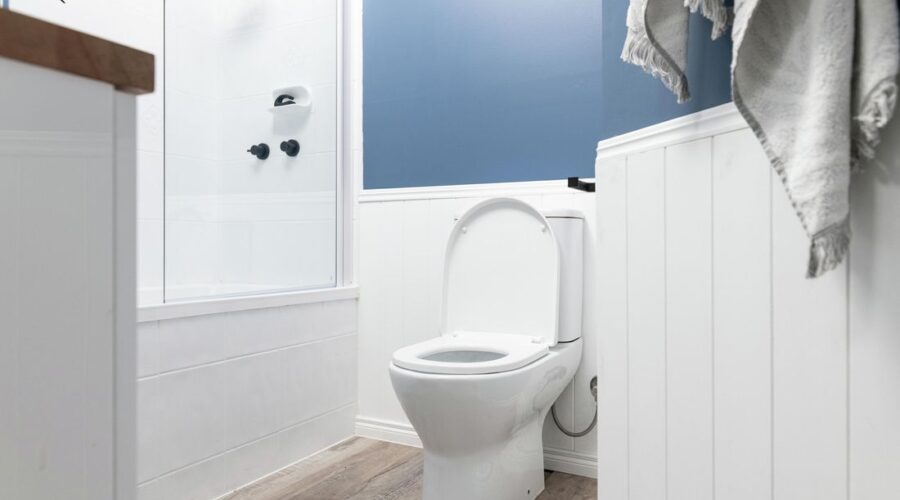 toilet