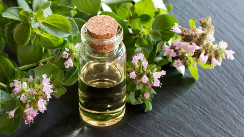 oregano oil