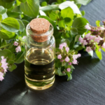 oregano oil