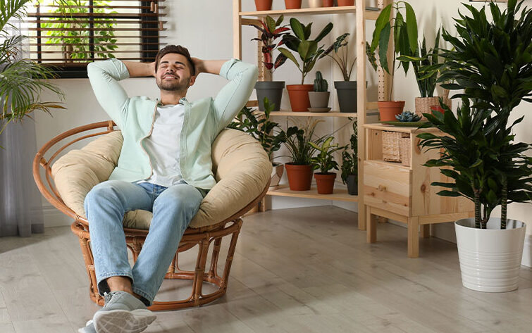 houseplants