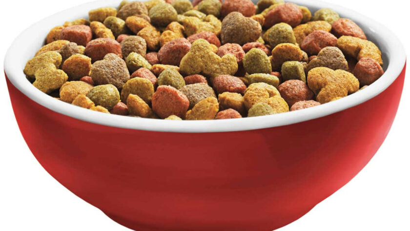 dog food