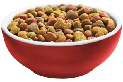 dog food