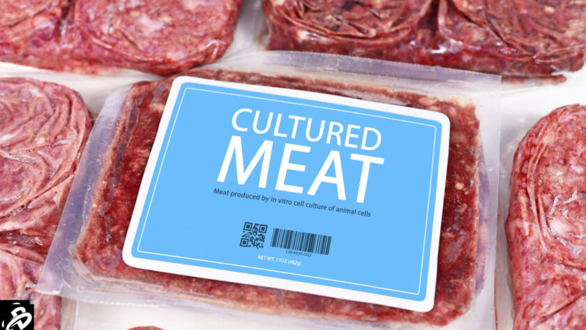 lab-grown meat