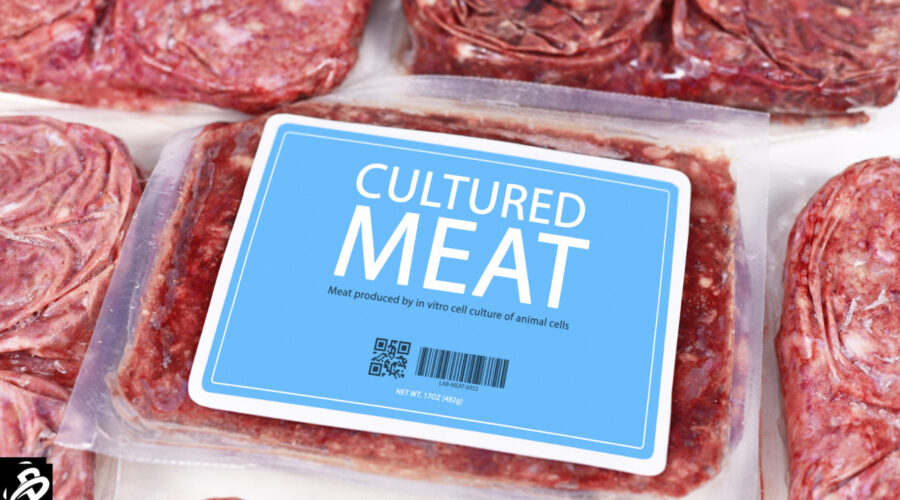 lab-grown meat