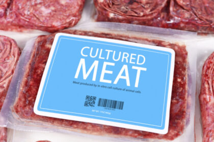 lab-grown meat