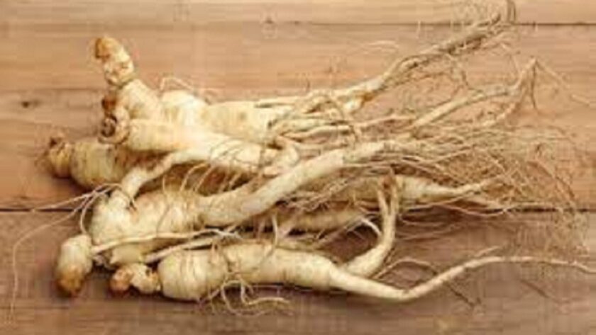 root