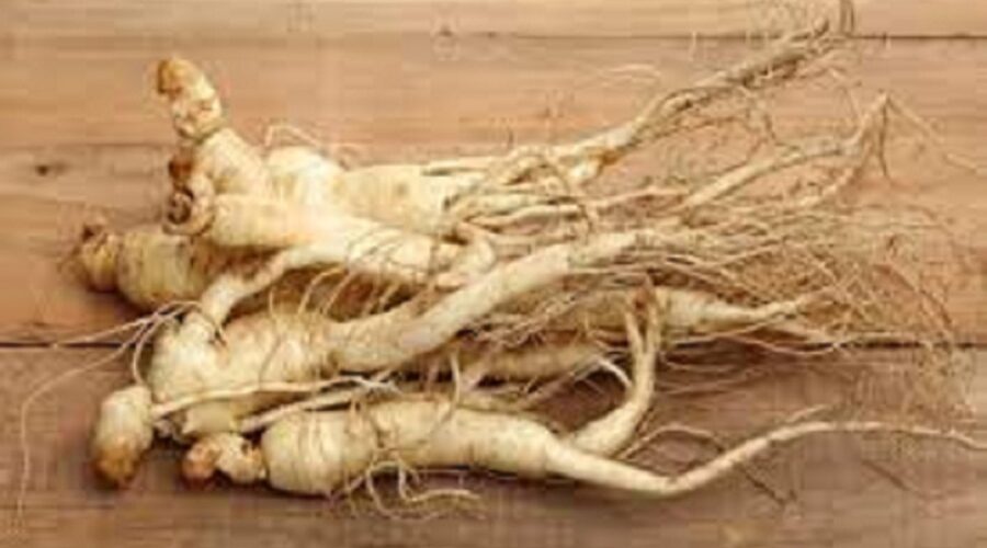 root