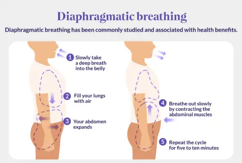 Studies Show 80% of People Don't Breathe Correctly, Which Slows Weight ...