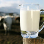 raw milk