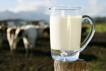 raw milk