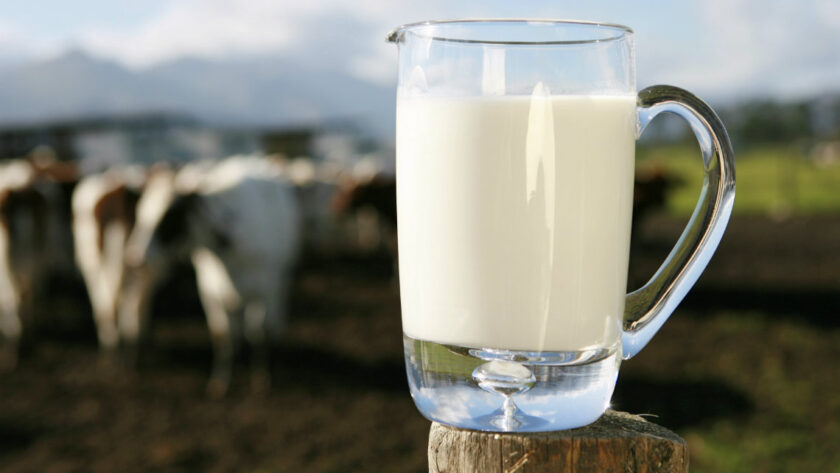 raw milk