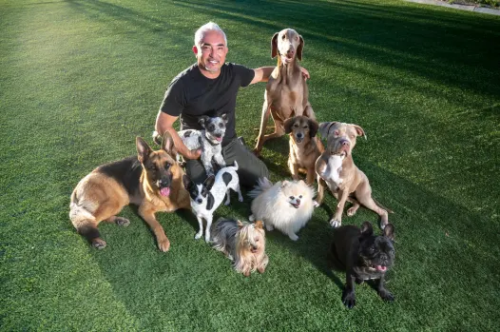 cesar Millan