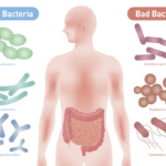 gut flora