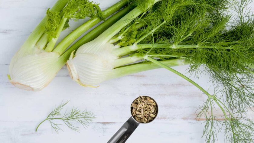 herb