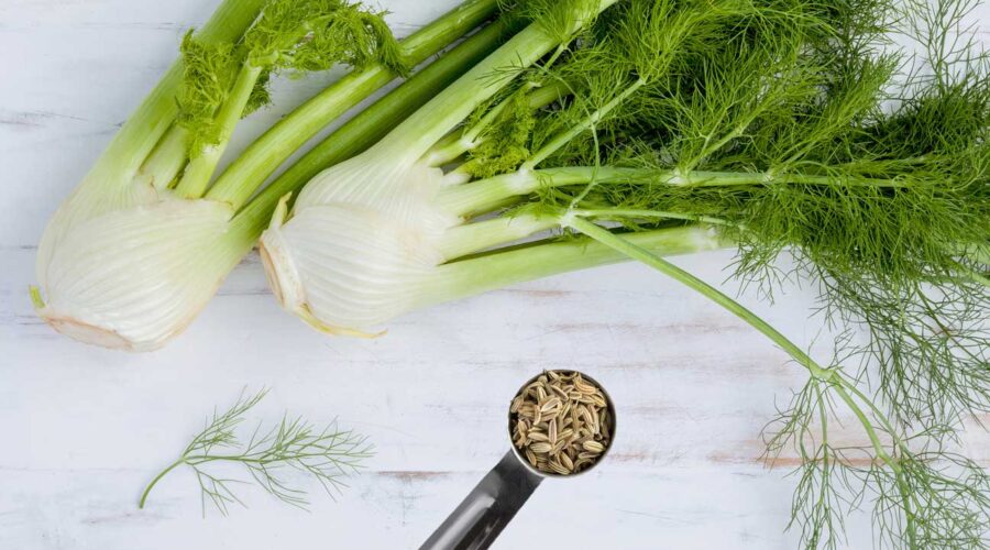 herb