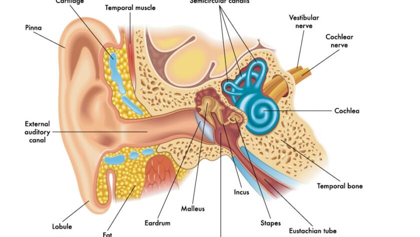 ear infection