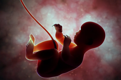 mother's womb