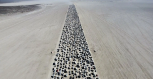 burning man