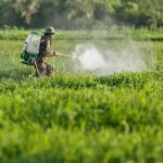 atrazine