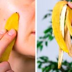 bananas