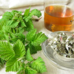 red raspberry leaf tea