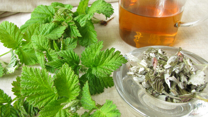 red raspberry leaf tea