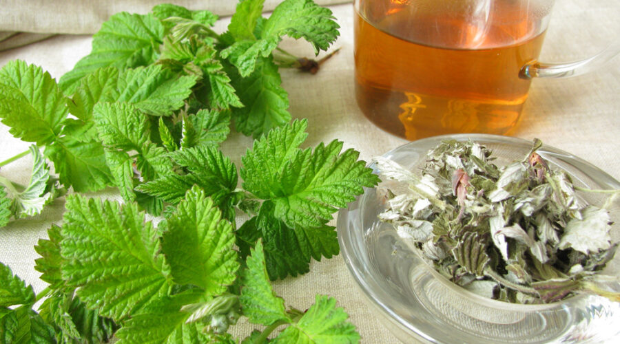 red raspberry leaf tea