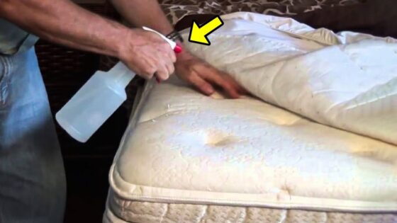 This is Why People Are Spraying Their Mattresses With Rubbing Alcohol