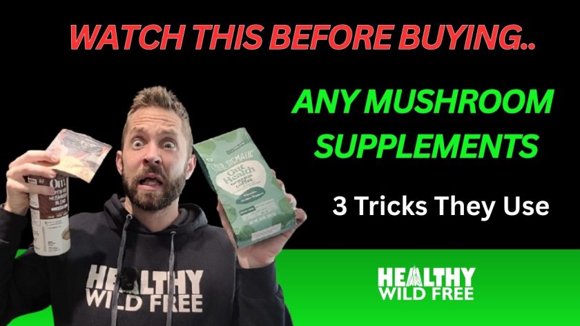 Mushroom Supplement Guide