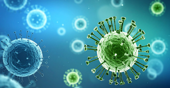 bulletproof immune system