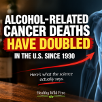 alcohol cancer deaths doubled moderate drinking